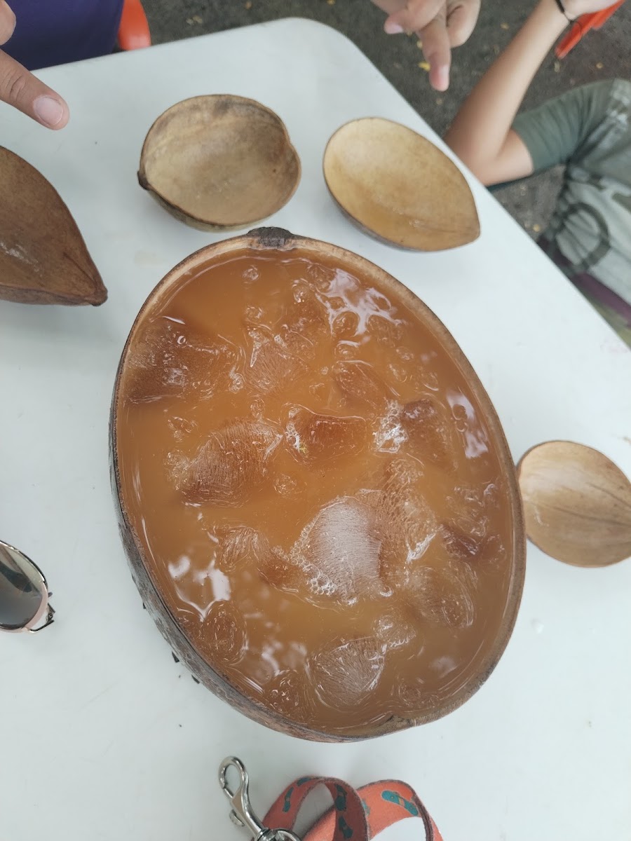 Laguna Guarinocito-6